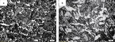 Micrographs of AISI 1045 steel without treatment (a) 50X (b) 100X ...