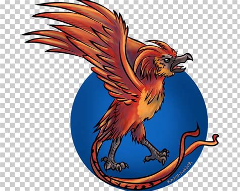 Fawkes Phoenix Drawing Digital Art PNG, Clipart, Art, Beak, Bird, Bird ...