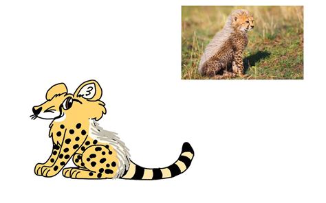 Cheetah Cub by RubyBadger223 on DeviantArt