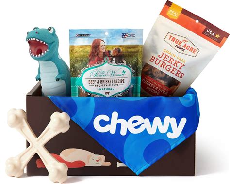 GOODY BOX Dog Toys, Treats & Bandana for Large Dogs - Chewy.com