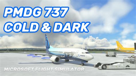 PMDG 737 MSFS - Easy Cold & Dark Start Tutorial - YouTube