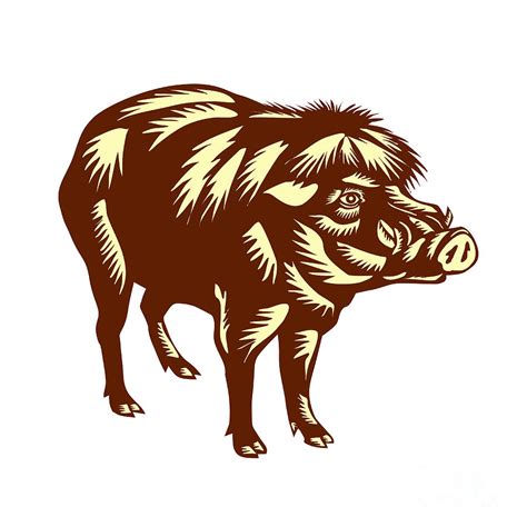 Philippine Warty Pig Woodcut Digital Art by Aloysius Patrimonio - Fine Art America