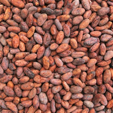 Cacao Bonen (Bio) (Hoeveelheid: 150 gram) | Cacao | Natuurproduct