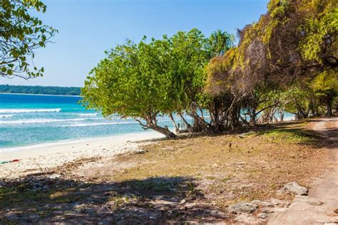 East Timor White Sand Beaches Stock Image - Image of city, beach: 84366015