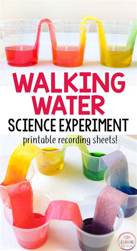 Rainbow Walking Water Science Experiment for Kids