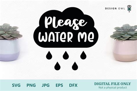 Please Water Me - Plant Pot SVG file - So Fontsy