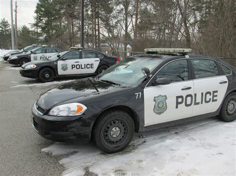 Albion Road resident's cats, barn spray painted: North Royalton Police Blotter | cleveland.com