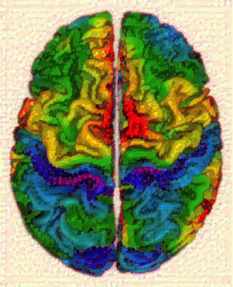 Brain Art Competition 2017 | The Neuro Bureau