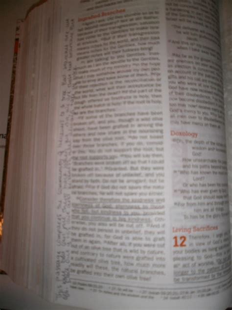 Writing In Your Bible... - The Bible - Christian Teen Forums