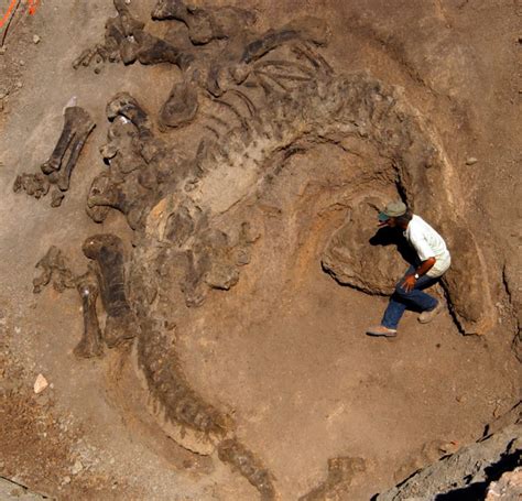 Visitors get hands dirty digging, cleaning dinosaur fossils in ...