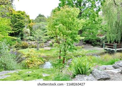 21 Oamaru Public Gardens Images, Stock Photos, 3D objects, & Vectors | Shutterstock