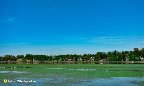 MANASBAL LAKE, KASHMIR - The Supreme Gem of Lakes in Kashmir - Tale of ...