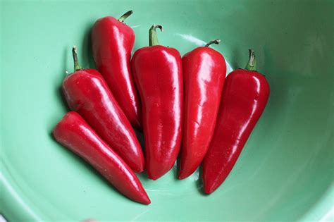 Sweety Sweet Pepper (Treated Seed) | Seedway