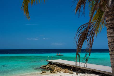 Free Images : beach, sea, coast, sand, ocean, horizon, dock, sky, wood, palm tree, sunlight ...