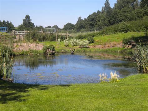 Inspiring Large Pond #2 Landscaping Around Large Ponds | Pond ...