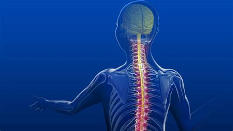 Pain in the back: Preventing and treating spinal arthritis - Mayo Clinic News Network