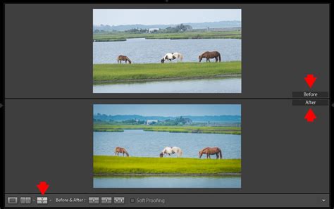 Lightroom Before and After: 7 Ways to Visualize Your Edits • PhotoTraces