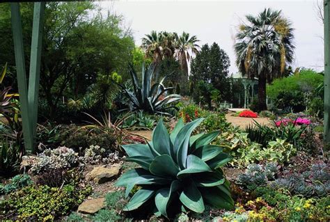 California Native Garden Inspiration | California native garden ...