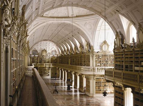 Bats Save Ancient Books in Portugal | BeautifulNow