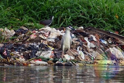 Indonesia Penyumbang Sampah Plastik di Laut Terbesar di Dunia - Satu ...