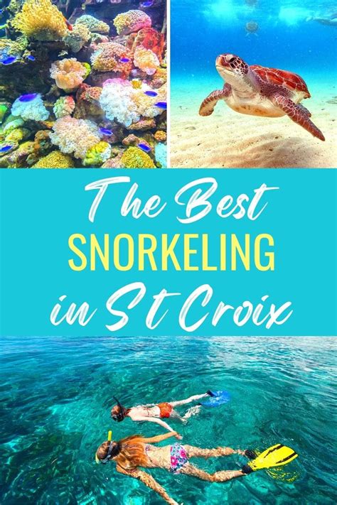 Top 5 Best St Croix Snorkeling Spots You Can’t Miss | Means To Explore St Croix Virgin Islands ...