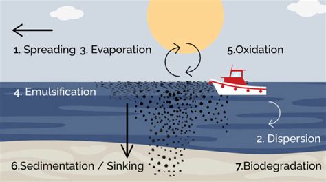 Marine Transportation and The Environment: Oil Spills From Ships - UNITEAM MARINE