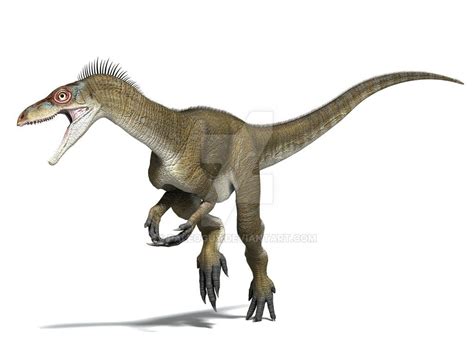 Eoraptor – PALEONTOLOGY WORLD | Prehistoric animals, Prehistoric ...