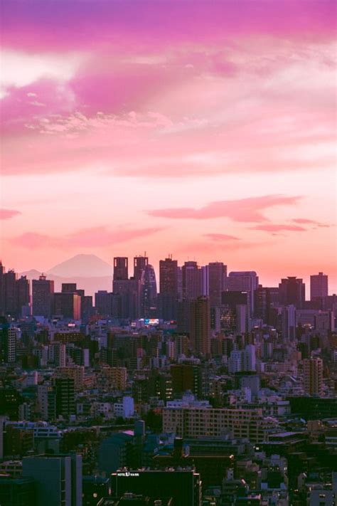 Sleepless in Tokyo | Tokyo skyline, Tokyo aesthetic, Last day of summer