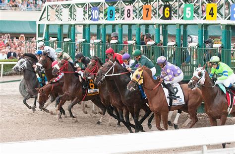 Gulfstream Park Picks & Free Handicapping for Thursday March 31 ...