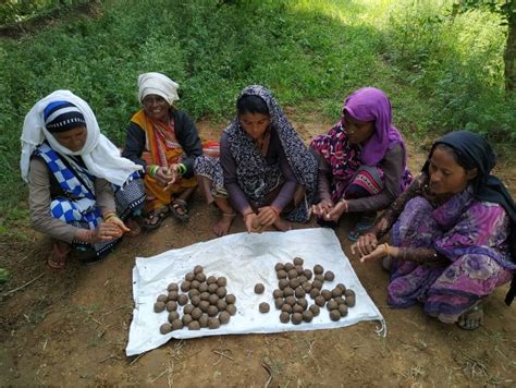 Seed Balls - Jodo India Social Foundation