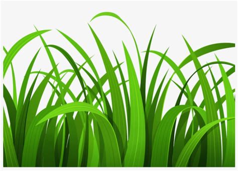 grass pictures clipart 10 free Cliparts | Download images on Clipground 2024