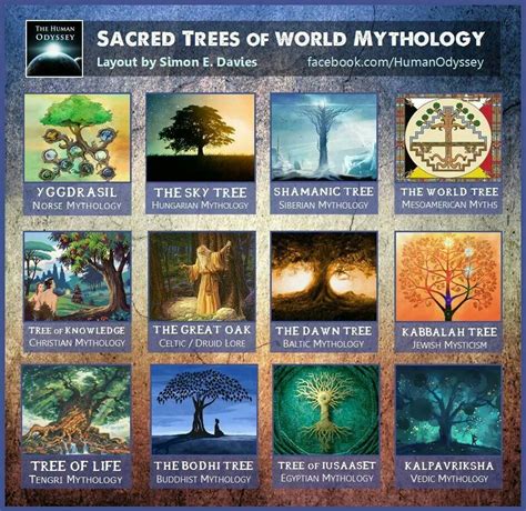 Sacred trees | World mythology, Sacred tree, Mythology