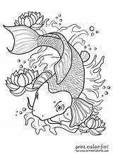 Fish Coloring Pages Koi sketch template