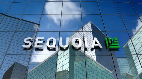 Sequoia Capital India Makes Second Chip Investment in the Country ...