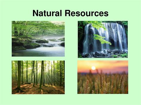 PPT - Natural Resources PowerPoint Presentation, free download - ID:2658813