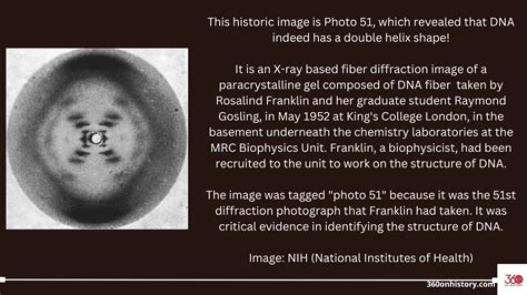 Photo 51 of the DNA Double Helix by Rosalind Franklin | 360 On History