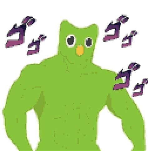 That buff Duolingo bird 👌 | Imagens hilárias, Fotos com frases engraçadas, Citações engraçadas ...