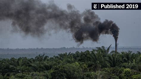 To Tell the Story of Biodiversity Loss, Make It About Humans - The New ...