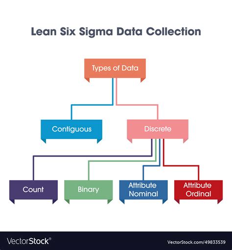 Lean six sigma data collection Royalty Free Vector Image