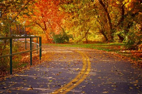 Full-swing Fall | Taking photos on the Boise Greenbelt is ak… | Flickr