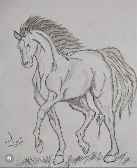 Pencil sketch of horse | Horse art drawing, Nature art drawings, Horse drawings