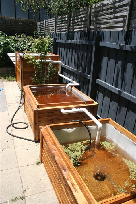 Aquaponics project (build - part 1) | Backyard aquaponics, Aquaponics greenhouse, Aquaponics