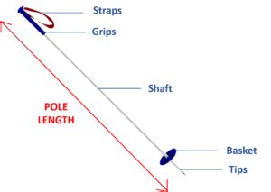 The Ultimate Guide to Ski Pole Baskets – Onto the Slopes