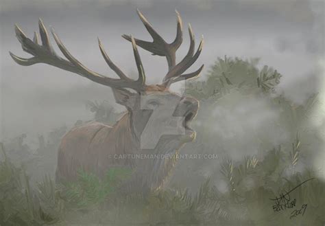 Fog Horn 150 Dpi Copy by cartuneman on DeviantArt