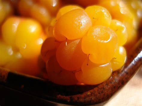 Cloudberry | Culinary, Recipes, Food