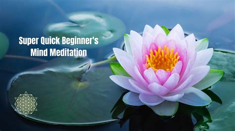 Super Quick Beginner's Mind Meditation: Change Your Perspective, Change Your World. - YouTube