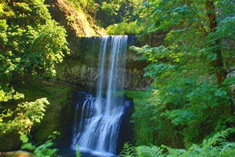 Silver Falls State Park (Silverton) - 2020 All You Need to Know BEFORE You Go (with Photos ...