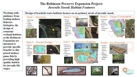 Manatee County bringing even more habitat and fun to Robinson Preserve