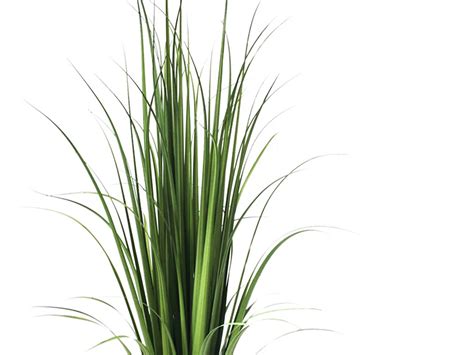 Artificial Tall Ornamental Grass - Faux Grass Plants | Commercial Silk