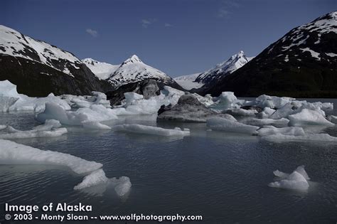 Margy's Musings: Portage Glacier - Alaska